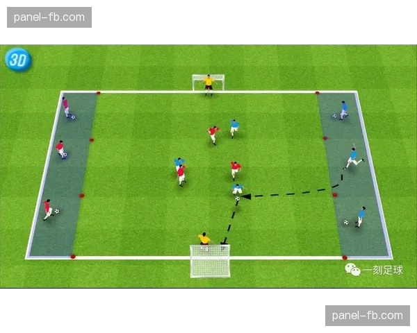 意大利足协启动青少年足球数据评估项目，射门效率为核心指标之一