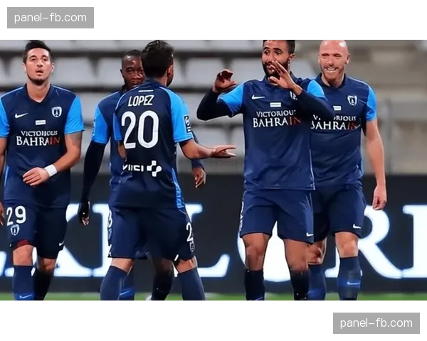 勒阿弗尔vs梅斯比赛节奏快，双方共完成30次射门